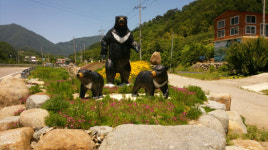 산청군 삼장면, 지리산 반달곰 꽃동산 조성 완료
