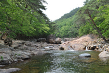 윤위식의 기행 (82) 지리산 대원사