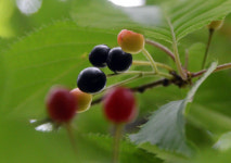 명산 플러스  모후산