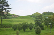 [박물관 탐방기] 함안박물관