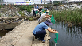 거제시, 내수면 자원 조성 동남참게 방류