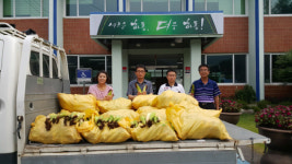 하동군 횡천면, 경로당에 찰옥수수 전달