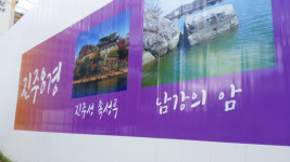 남강의 암이 뭔가요?