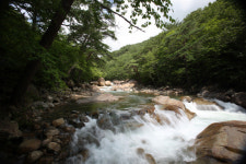 지자체, 불 붙는 지리산 마케팅