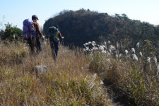 명산플러스  남해 망운산