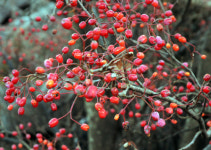 명산플러스  남해 망운산