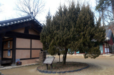 명산플러스  공주 태화산