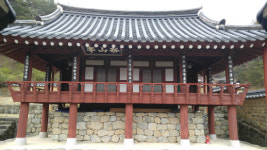 청정 딸기가 익어가는 진주 대평마을