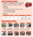 진주 수곡딸기 챔버 타고 싱가포르 항해