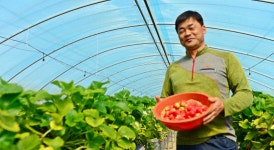 주경아독 농업인[2]합천 다솔농장