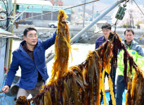 남해군, 수산업 육성 발전 기반 조성 청신호