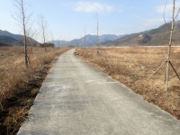 김해 상동에 8㎞ 메타세콰이어 가로수 길 조성