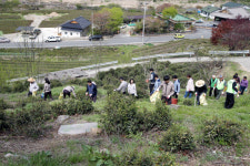 정금차밭, 국내 최고 관광휴양형 다원 조성