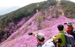 명산플러스 창원 천주산