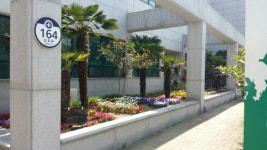 양산웅상보건지소 봄꽃 화단 조성