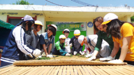 하동 화개초, 우리가 녹차 명인 전교생 녹차 체험