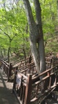박희운의 맛이 있는 여행  전라도 봄나들이