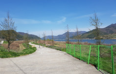 김해 상동 메타세콰이어 길 조성 순항