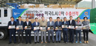합천군·율곡농협, 양파즙·야콘즙 미국 수출