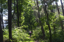 명산플러스 함안 작대산(청룡산)