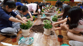 농업기술원, 도내 초등학교서 꽃 체험 활동