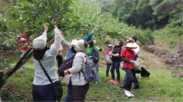 함안·의령농관원, 부산 한국부인회 초청 스타팜 체험