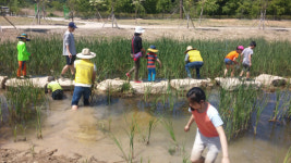 창녕 우포늪 생태체험장 개장 1주년