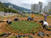 양산시 물금읍 방문객 위한 꽃 단장
