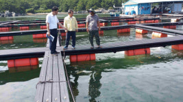 이동규 통영부시장 고수온기 양식장 점검