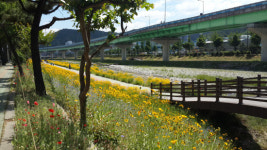 창원시·함안군 화합 상징 광려천 산책로