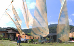 염색하기 좋은 날