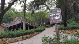 김해 신어산 자연숲 캠핑장 개장