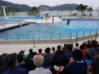 하동군, 재가장애인 대상 거제·통영 나들이