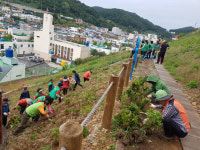 서피랑 음악정원 수국 식재·평화동산 조성