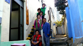 창원 문화동 새마을부녀회, 경로당 국화화분 단장