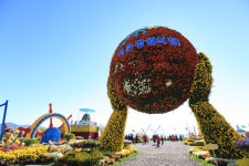 마산가고파국화축제 성황리에 폐막