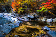지리산 단천계곡 단풍