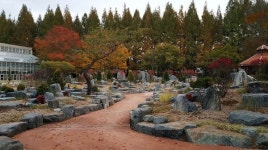 경남도수목원 다육정원 암석원 개장