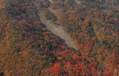 명산플러스 남해 호구산