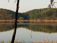 스토리텔링이 있는 힐링여행 우포늪