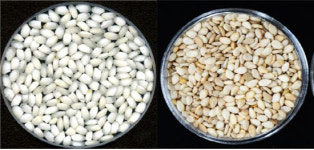 우리 농산물 새 이름 미시루, 금옥 탄생