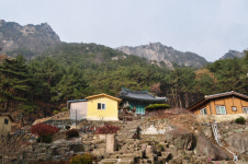 윤위식 발길닿는대로(100) 황룡사를 찾아서