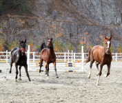 관광기반 구축 박차 가하는 함안군