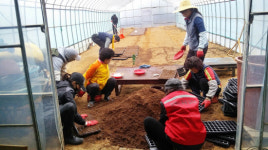 창원 사파동, 꽃동산 조성 양묘장 설치