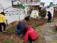 통영시 도천동, 봄 맞이 봄꽃 식재