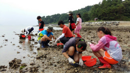 경남도, 안전한 농촌체험휴양마을 만들기 앞장