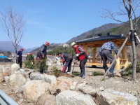 산청 삼장면, 녹색산청 조성 사업