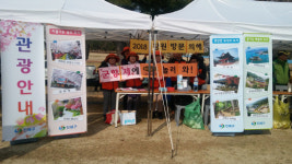 창원시 진해구 관광알리기 홍보단, 창원관광 홍보