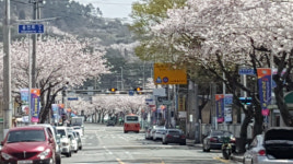 진해구 웅천동, 역사문화·해양 관광명소 배너기 설치
