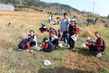 거제 창호초, 쑥캐기 체험 활동